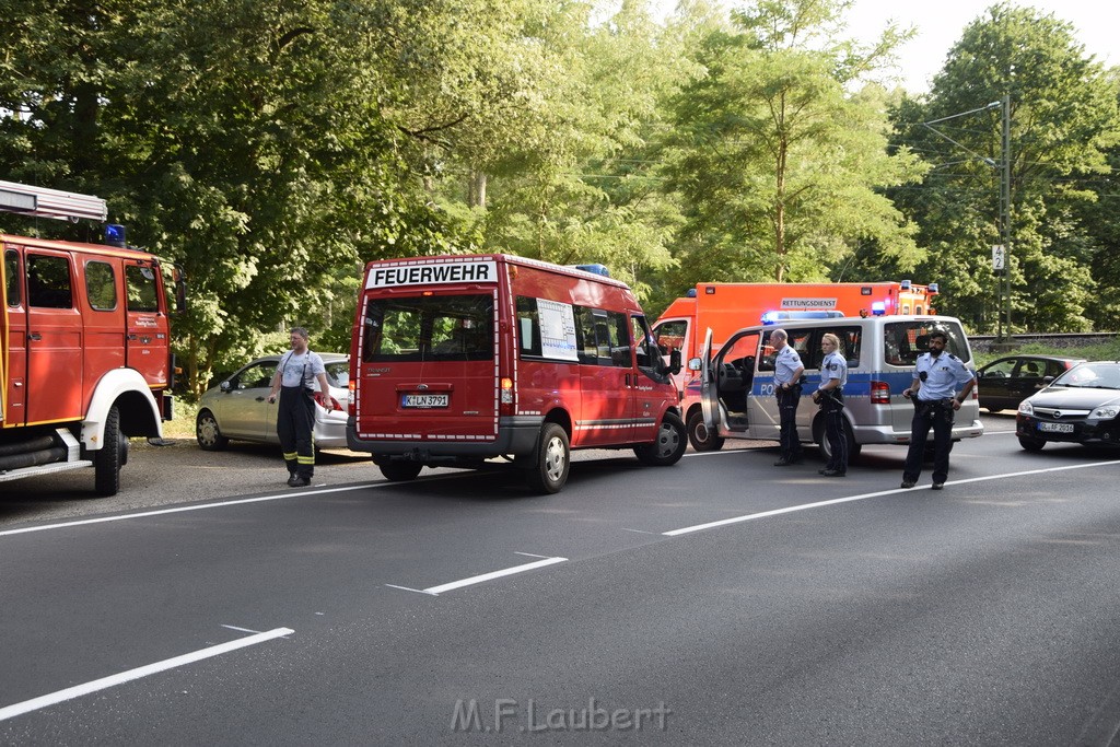 Waldbrand Koeln Hoehenhaus Hoehenfelder Mauspfad P012.JPG - Miklos Laubert